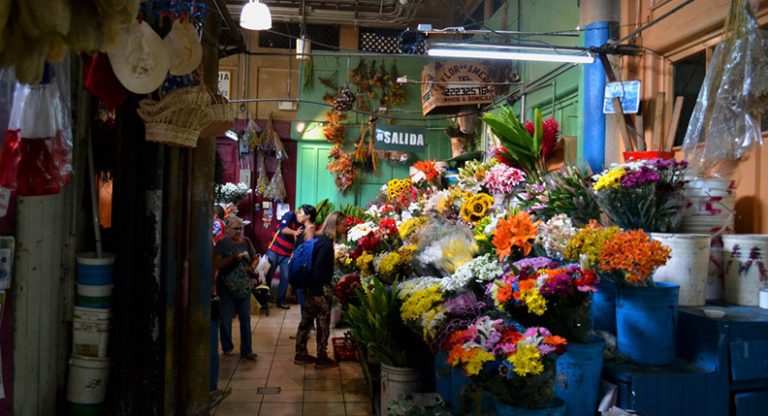 San Jose Unveiled: Exploring the Heart of Central America