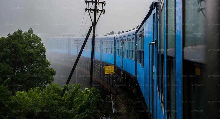 Unveiling the Beauty of the Dominican Countryside by Train