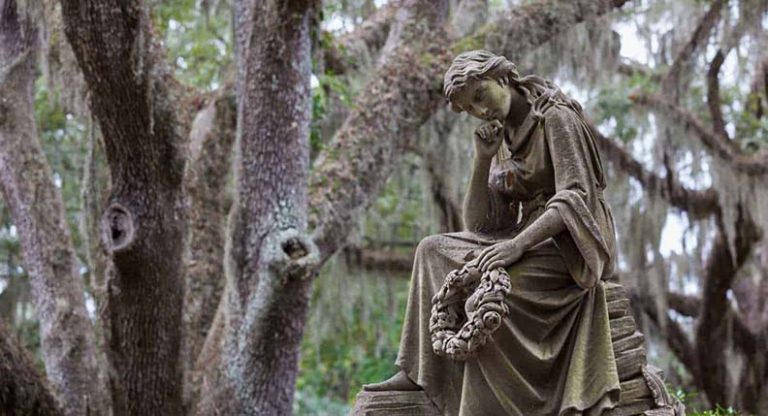 Step by Step: Hiking Savannah’s Enchanting Landscapes