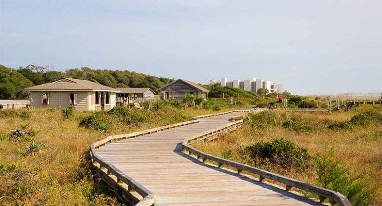 Embarking on Myrtle Beach’s Trail Tales: A Hiker’s Wonderland