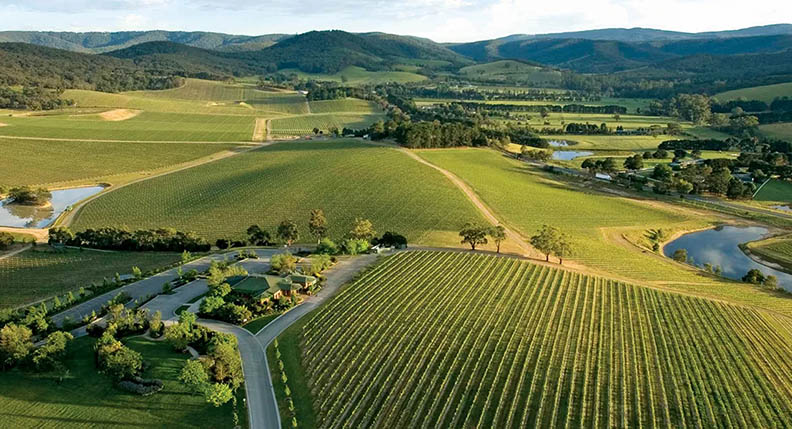 Through Vineyards and Hills: Top 3 Scenic Train Routes from Melbourne You Can’t Miss