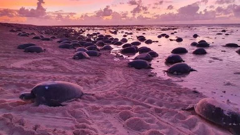 Remote Paradise: Secret Beaches Beyond the Tourists