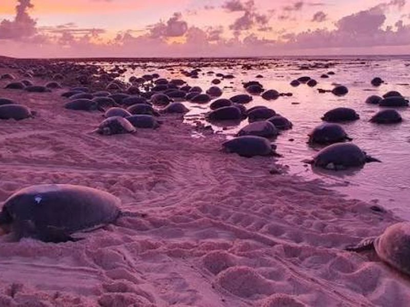 Remote Paradise: Secret Beaches Beyond the Tourists