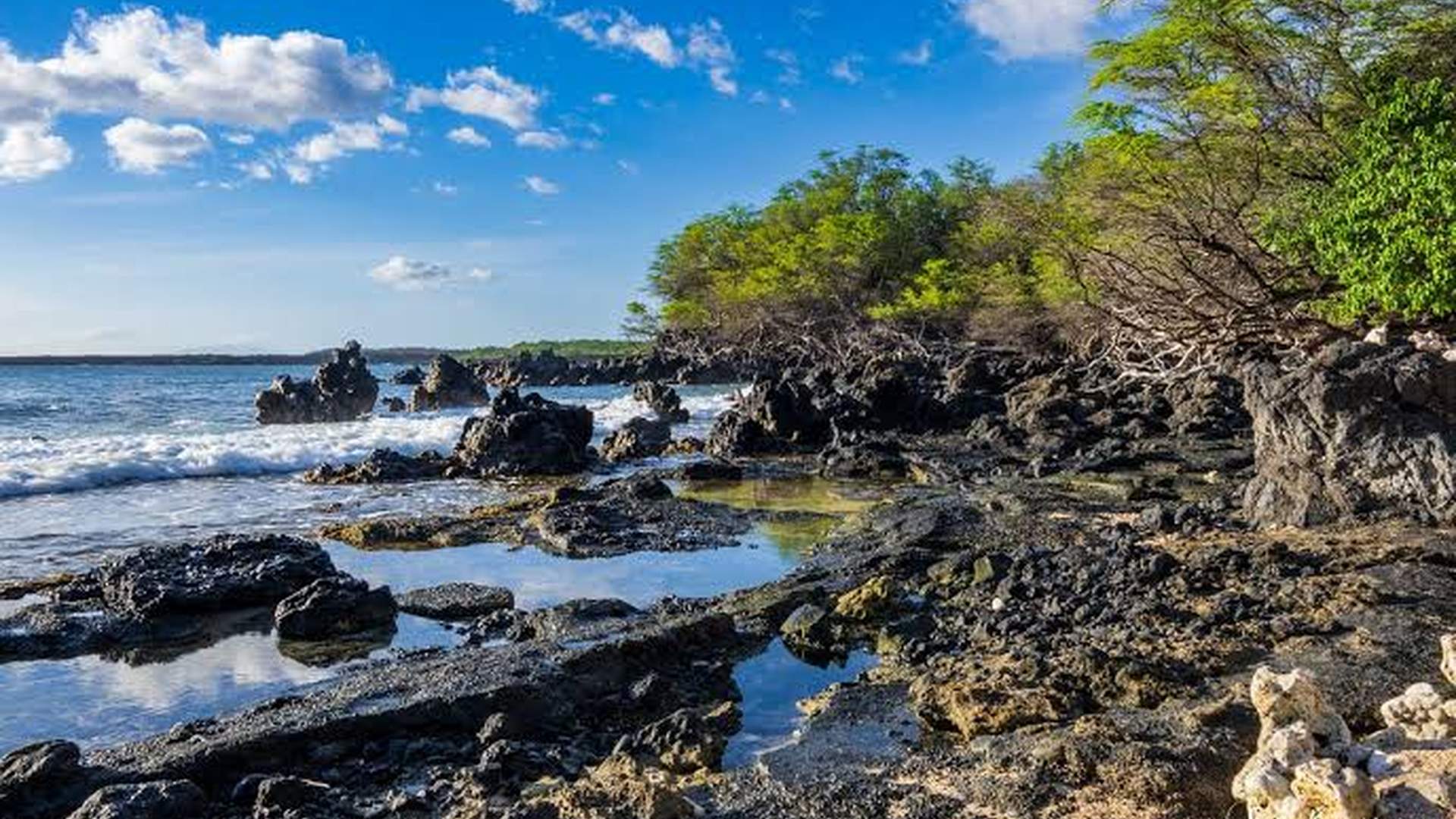 Naihāna Bay beach lava fields coastal forest hikin