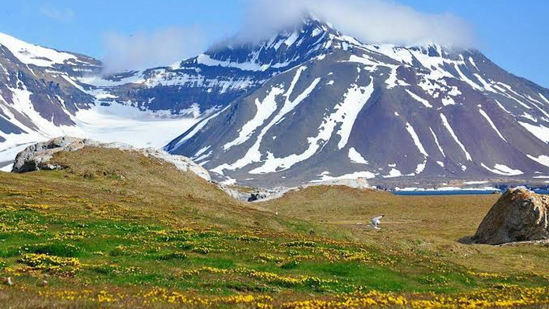 Arctic tundra snowdrifts glacier calving polar nig
