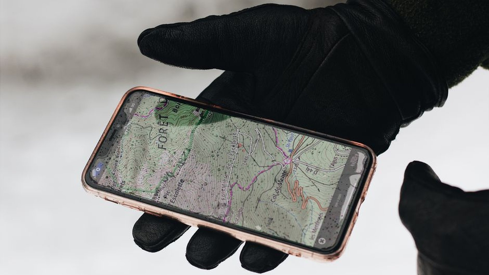 hiking trail GPS map smartphone AllTrails app elev