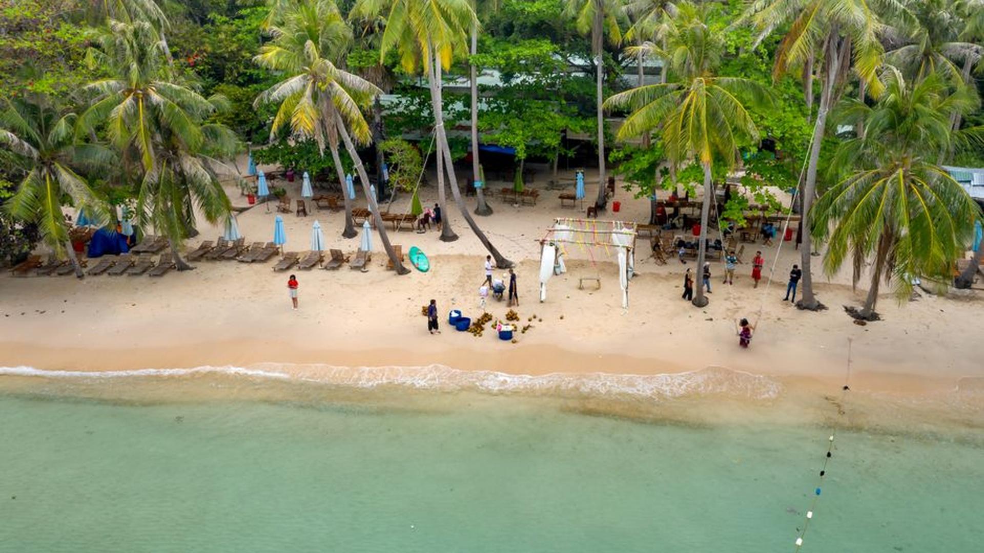 secluded beach palm trees tamarind tree fresh coco